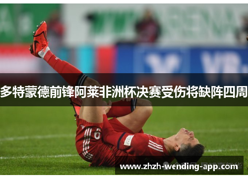 多特蒙德前锋阿莱非洲杯决赛受伤将缺阵四周
