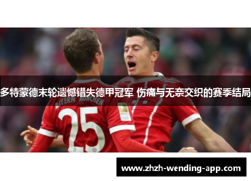 多特蒙德末轮遗憾错失德甲冠军 伤痛与无奈交织的赛季结局 多特蒙德末轮遗憾错失德甲冠军 伤痛与无奈交织的赛季结局