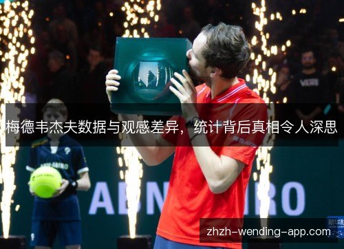 梅德韦杰夫数据与观感差异，统计背后真相令人深思